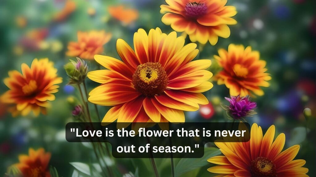 flower love quotes