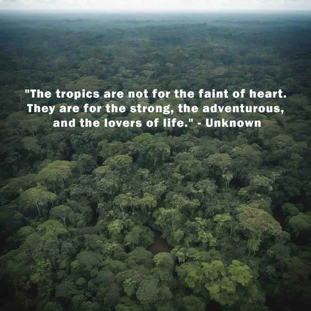 Inspiring Quotes Celebrating the Beauty and Diversity of the Tropics 1 The tropics are not for the faint of heart. They are for the strong the adventurous and the lovers of life