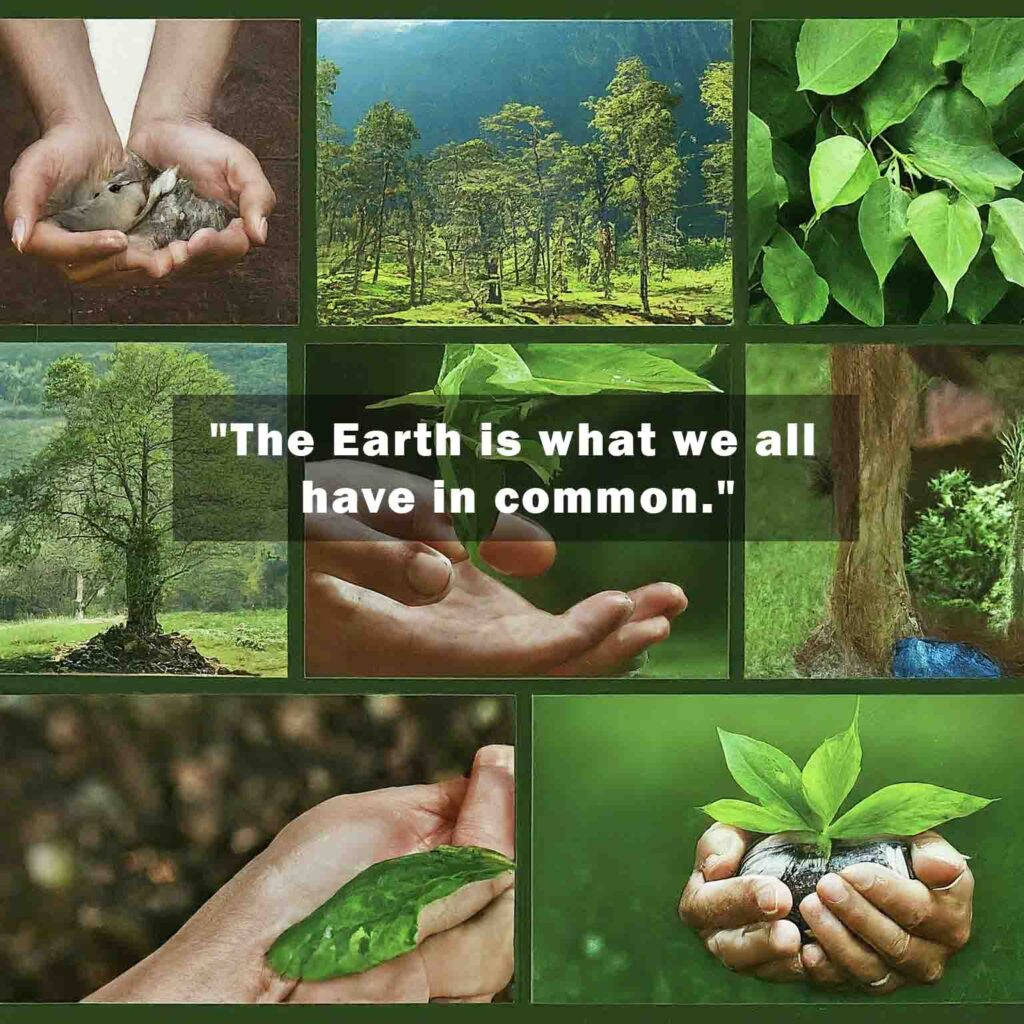 The Earth is what we all have in common 1