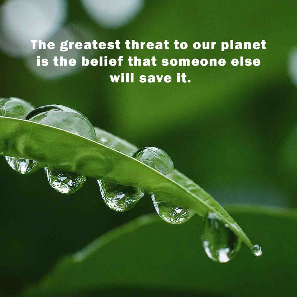 The greatest threat to our planet is the belief that someone else will save it 2